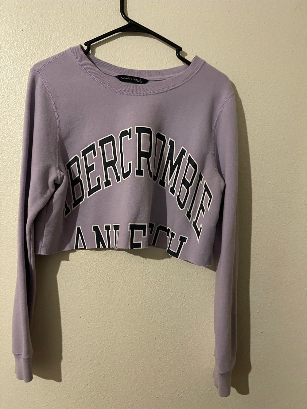 Abercrombie & Fitch Lavender Cropped Logo Sweatshirt